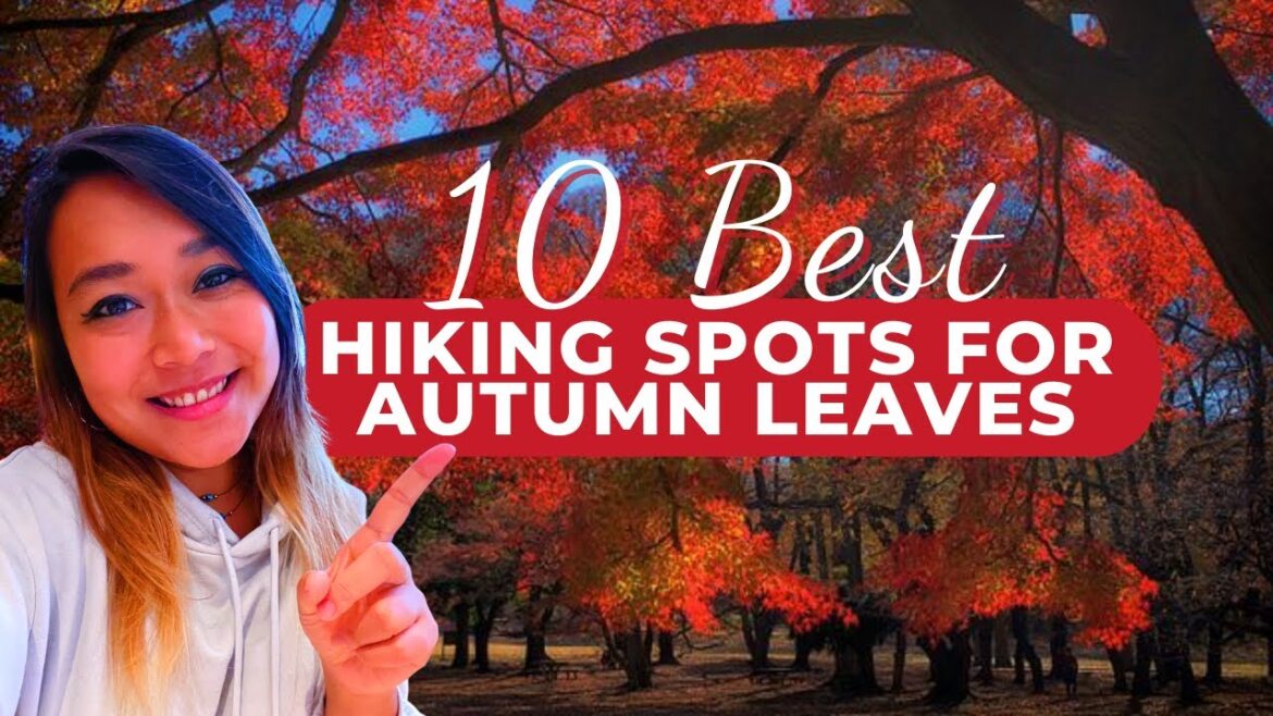 Koyo in Japan: 10 Best hiking trails for Autumn Leaves near Tokyo