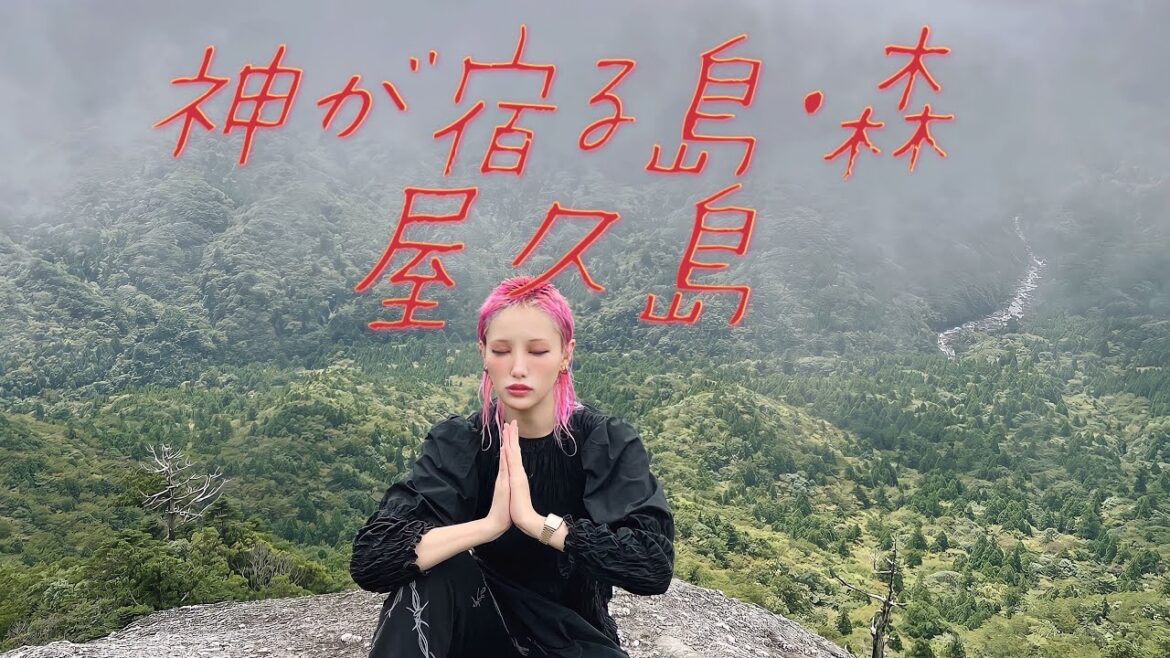 過酷すぎた屋久島、女一人旅。-後編-