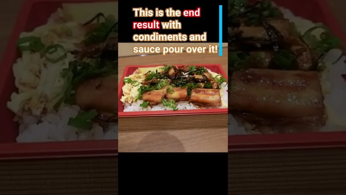 Anago Meshi, Japanese Specialty Dish!