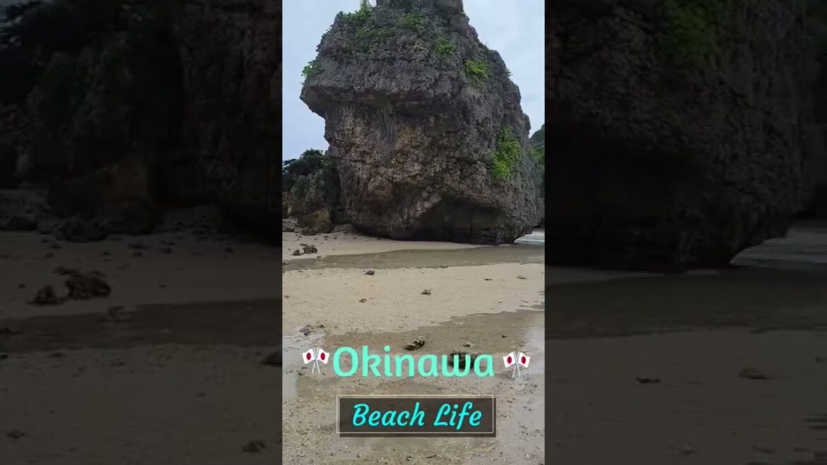 Hamahiga Island, Okinawa, Japan🎌 #okinawa #pinoy #subscribe #islandlife #beach