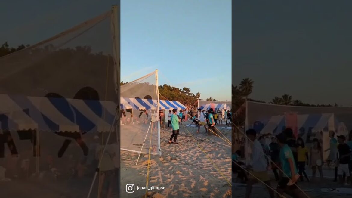 Japan beach fest #reels #shorts #beach #festival @Japan_glimpse ジャパンビーチフェスト Japan beach fest #reels #shorts #beach #festival @Japan_glimpse ジャパンビーチフェスト