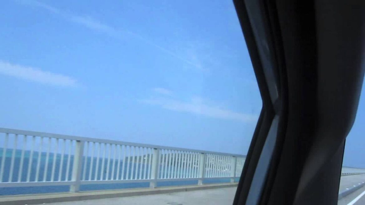 Okinawa Big Ass Bridge 沖縄県 srsly