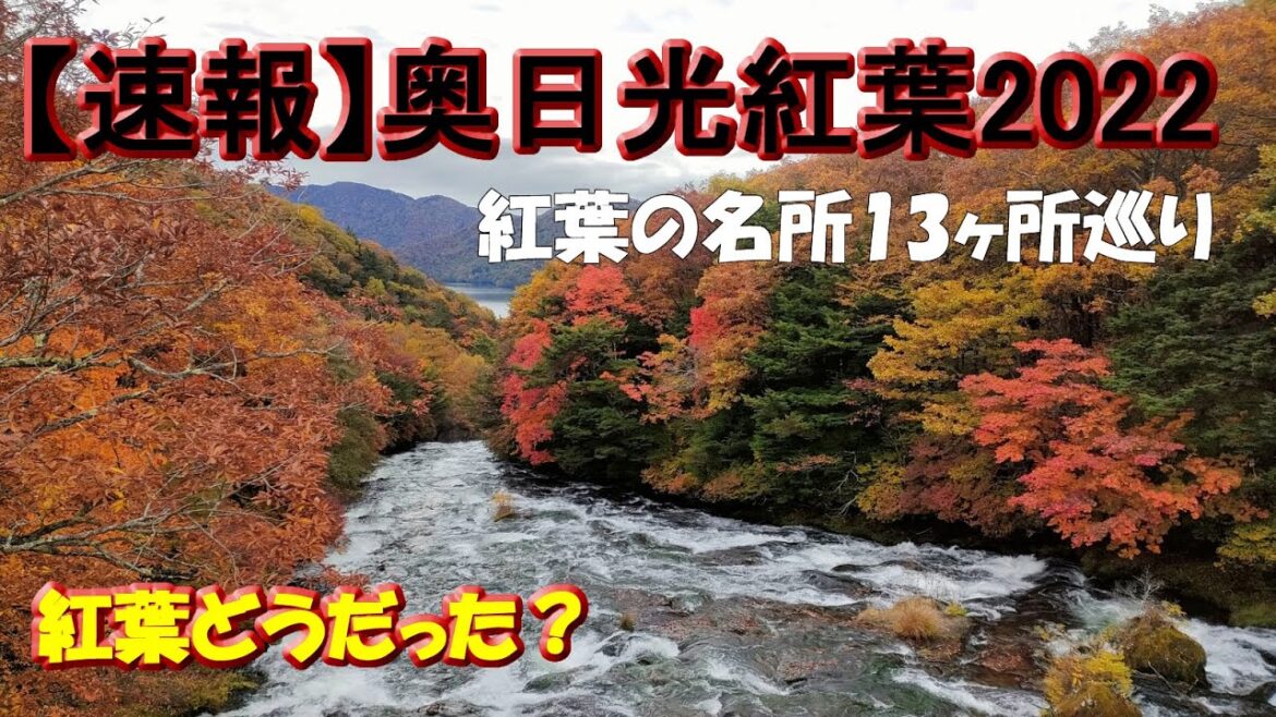 【速報】奥日光紅葉2022-10-15時点での紅葉の名所13巡り、紅葉してたの？紅葉はどうだったのか？わかる紅葉動画