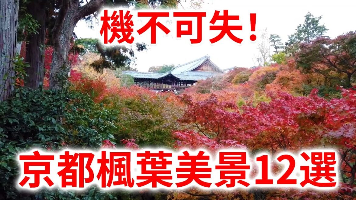 【京都 楓葉】日本秋天風物詩——楓葉。 絕對不能錯過的京都秋季楓葉美景12選! 【京都 楓葉】日本秋天風物詩——楓葉。 絕對不能錯過的京都秋季楓葉美景12選!