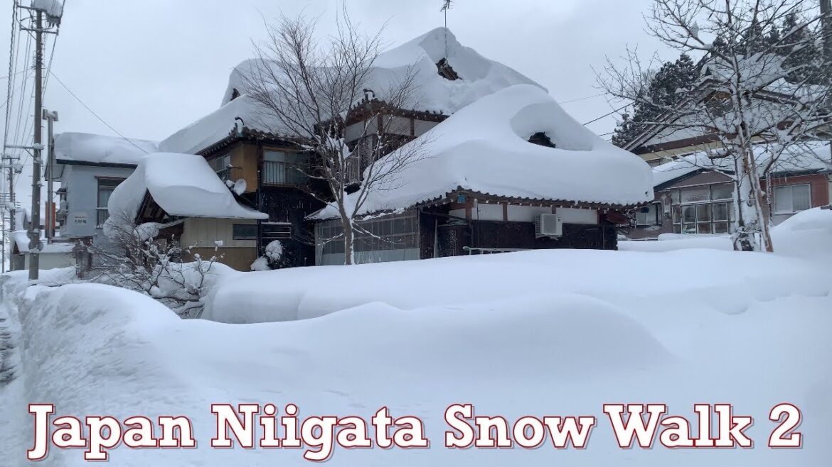 Japan Niigata Snow Walk #2 2021.12.28 ASMR Ambience Sound Sleep Meditate Relax Mountains Countryside Japan Niigata Snow Walk #2 2021.12.28 ASMR Ambience Sound Sleep Meditate Relax Mountains Countryside