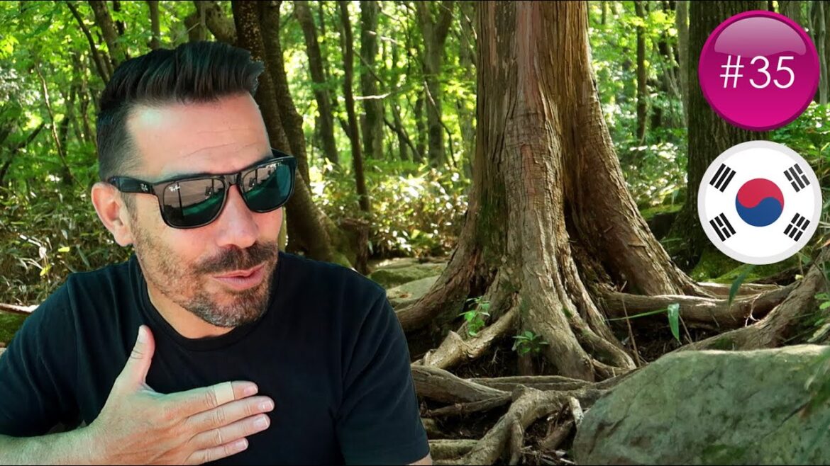 GROS KIFF EN PLEINE NATURE  ! 🇰🇷 | CORÉE DU SUD | #35 GROS KIFF EN PLEINE NATURE  ! 🇰🇷 | CORÉE DU SUD | #35