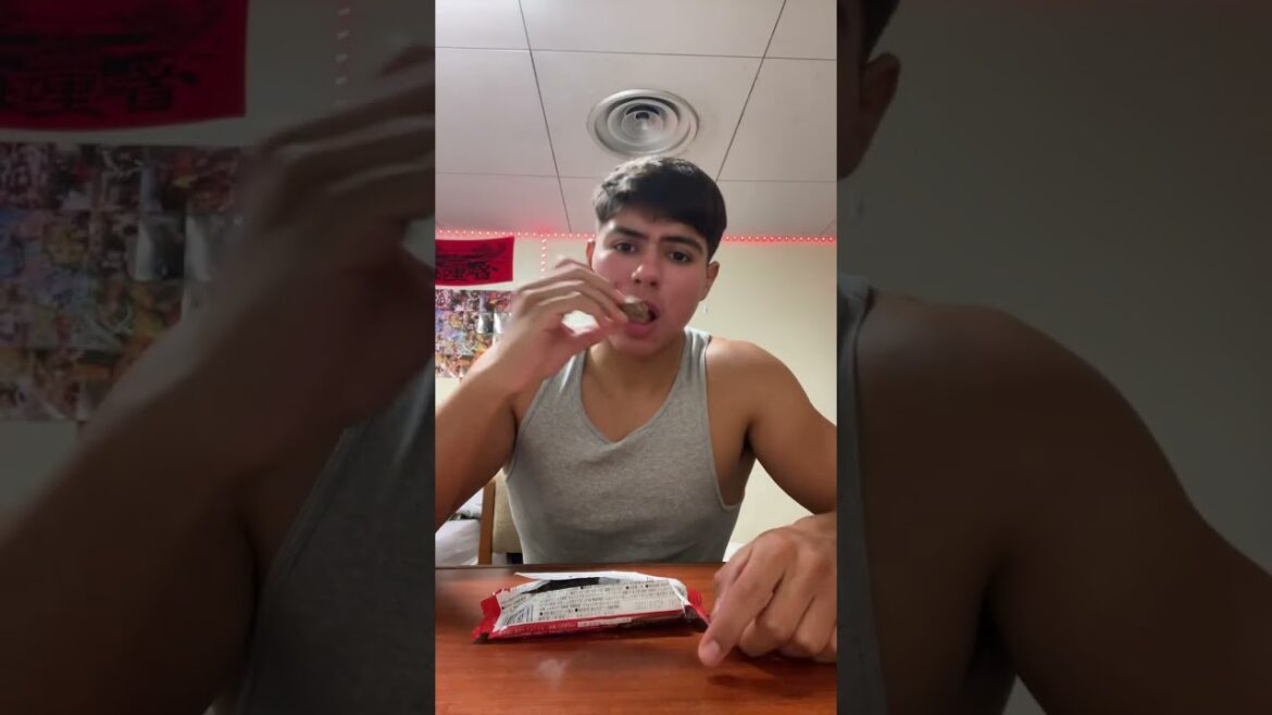 JAPANESE PROTEIN BAR