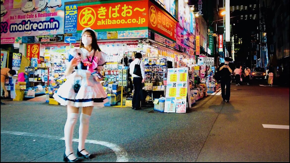 【秋葉原】Tokyo Night Walk – Akihabara (▶ 29 min) | 4K 東京散歩 September, 2022 【秋葉原】Tokyo Night Walk - Akihabara (▶ 29 min) | 4K 東京散歩 September, 2022