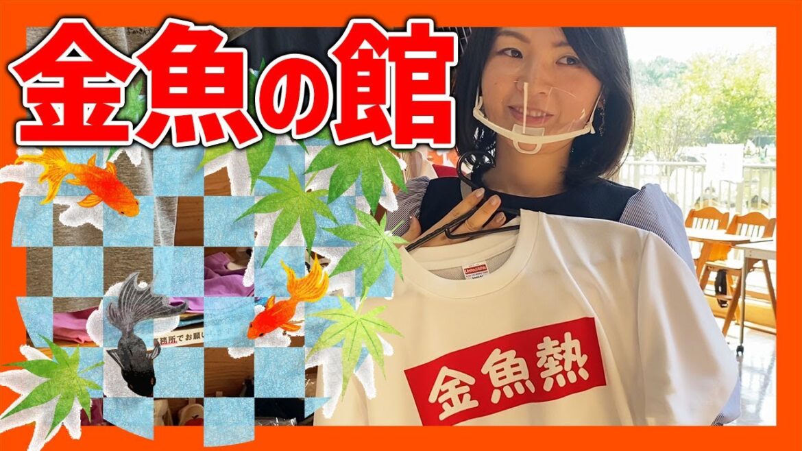 金魚の館で長洲の有名な金魚に出会う!?金魚グッズも盛り沢山♪鯉の餌やりで発狂(笑)【熊本観光】 金魚の館で長洲の有名な金魚に出会う!?金魚グッズも盛り沢山♪鯉の餌やりで発狂(笑)【熊本観光】