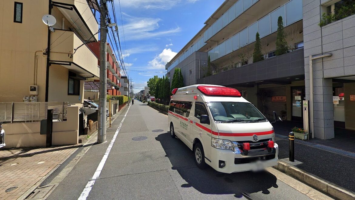 Let's Get Lost in Katsushika Ward, Tokyo! | JAPAN LIVE STREAMS 2022