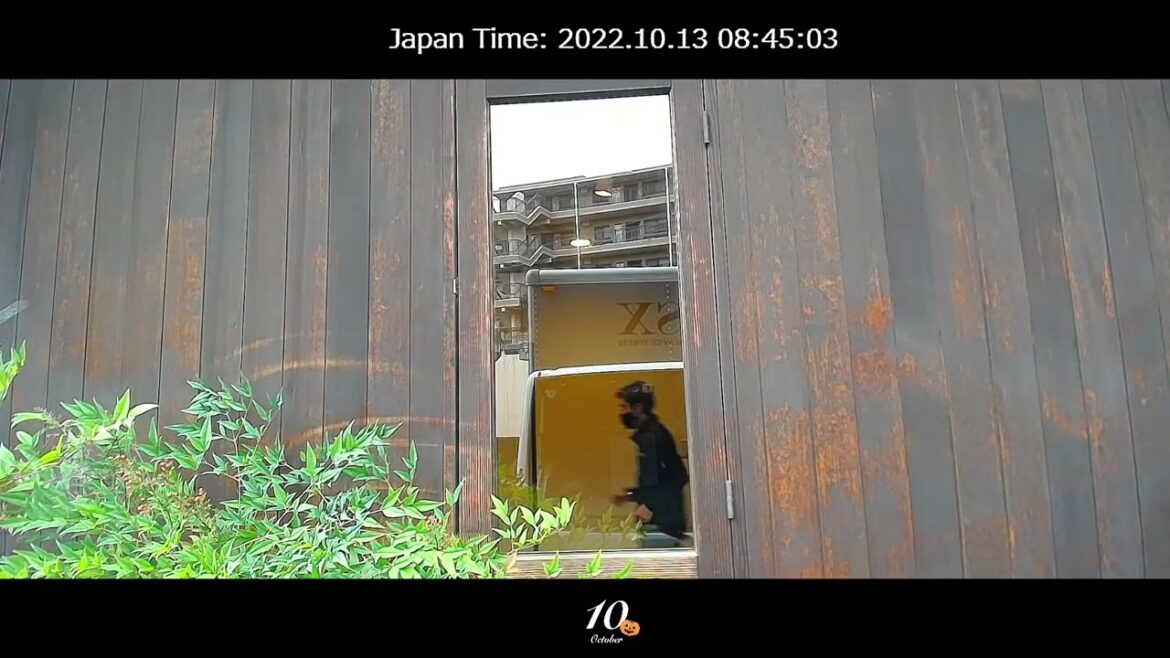 東京都内移動ライブカメラ【FSX公式】 Tokyo City Live Camera10/13撮影 東京都内移動ライブカメラ【FSX公式】 Tokyo City Live Camera10/13撮影