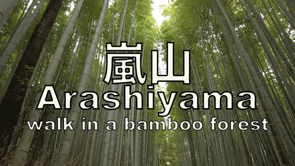 ARASHIYAMA BAMBOO FOREST Kyoto walk [Japan walking tour ASMR] | 嵐山散歩