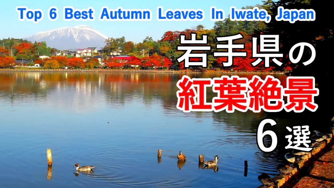 岩手県の紅葉絶景ベスト6選 / 八幡平・馬仙峡・久慈渓流・高松の池・盛岡城跡公園・石割桜 / Top 6 best autumn leaves in Iwate Prefecture, Japan 岩手県の紅葉絶景ベスト6選 / 八幡平・馬仙峡・久慈渓流・高松の池・盛岡城跡公園・石割桜 / Top 6 best autumn leaves in Iwate Prefecture, Japan