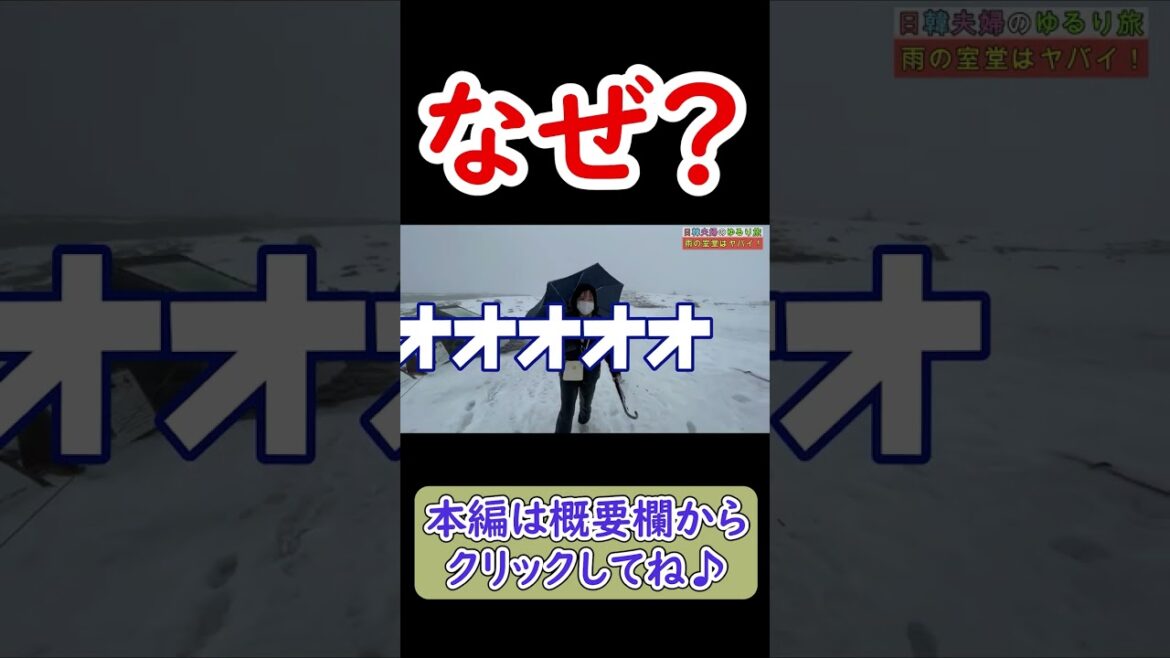 韓国人が日本の自然の怖さを知る・・・