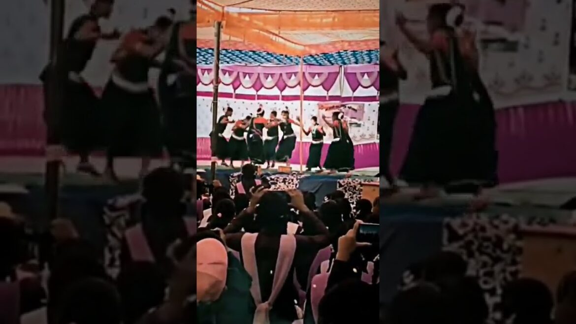 Chhattisgarhi Traditional Folk Dance | suwa dance Suva geet #shorts #shortvideo #short #newshorts