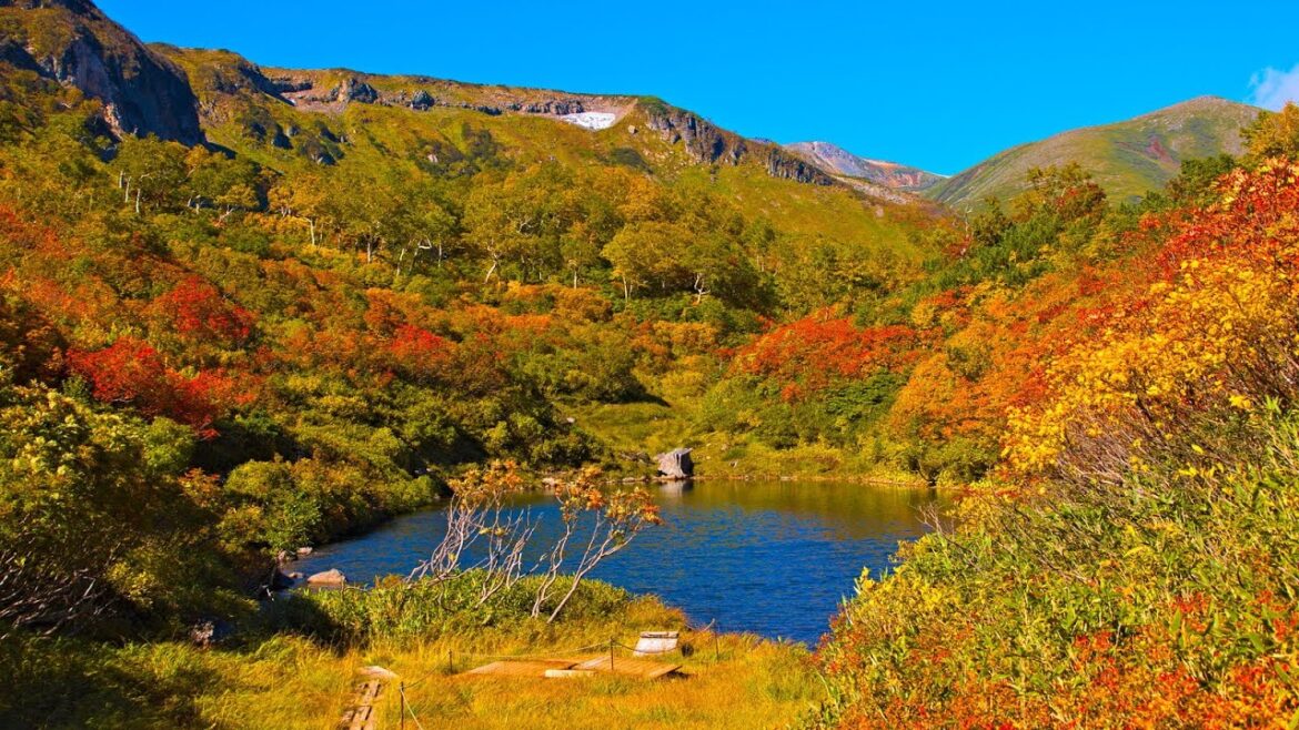 8K HDR 北海道 大雪高原 紅葉の沼めぐり 午前曇りでしっとり、午後快晴でパッキリ Hokkaido, Daisetsu Highland Autumn Trecking