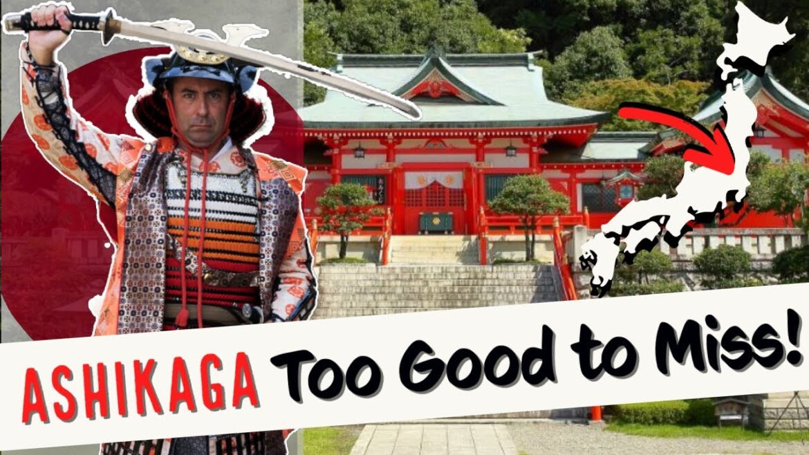 Japan Guide : Ashikaga City – Too good to miss Japan Guide : Ashikaga City - Too good to miss