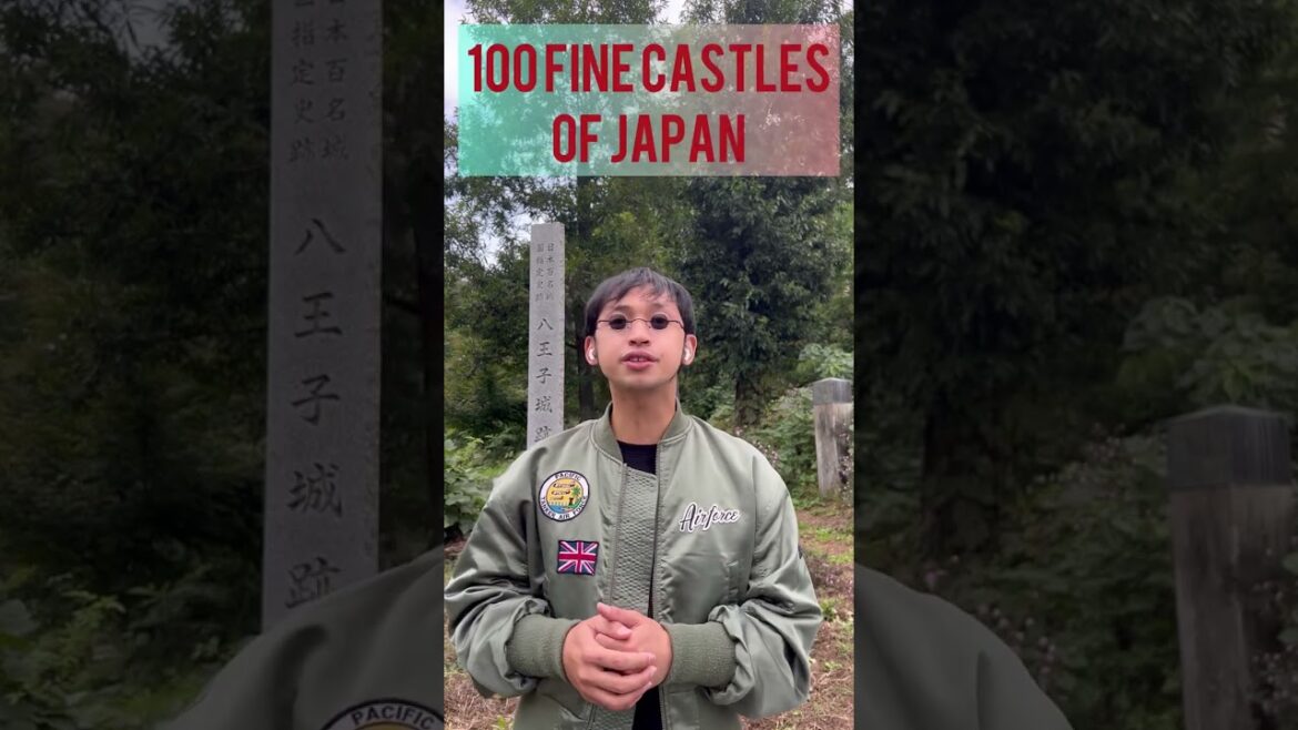 100 Fine Castles of Japan Challenge: Castles are OmoSHIROi  #omoSHIROi #百名城 #Castles #Japan #Travel