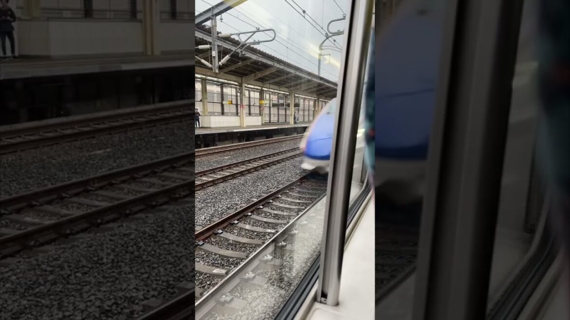 【ショート】上越新幹線熊谷駅E7系上下線通過〜E2系とき号の車窓から〜 #shorts #shinkansen #japan #mewzica 【ショート】上越新幹線熊谷駅E7系上下線通過〜E2系とき号の車窓から〜 #shorts #shinkansen #japan #mewzica