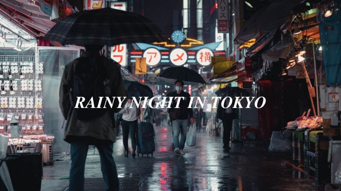 Tokyo in the Rain / POV Street Photography in JAPAN / Ep. 3 / Ueno / Nikon Z5 #japan #photography