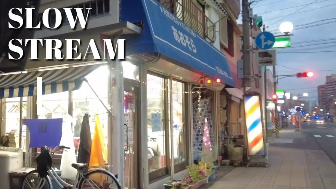 【昭和ノスタルジー】風に吹かれて、知らない町をただ歩く｜どこか懐かしい風景【鹿児島/鴨池・真砂】