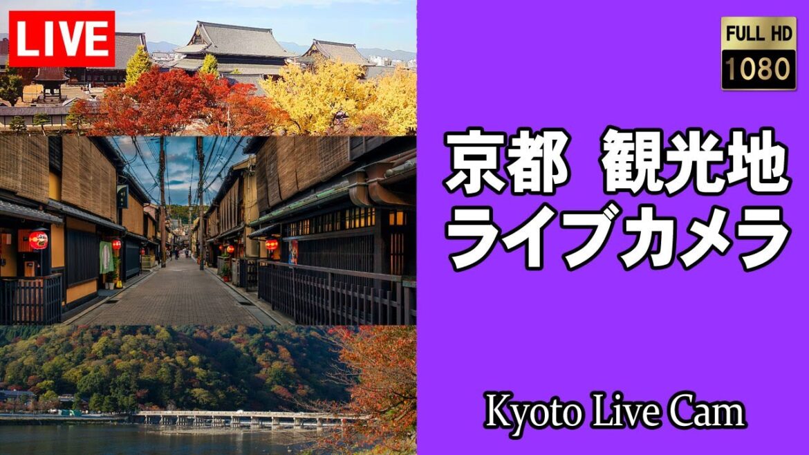 【生中継】祇園 花見小路通 京都の観光地からモバイルライブ配信  京都ライブカメラ 京都 日本 (祇園・鴨川・出町柳・京都駅・嵐山・清水寺・紅葉)  (提供：森信三郎商舗) Kyoto Japan