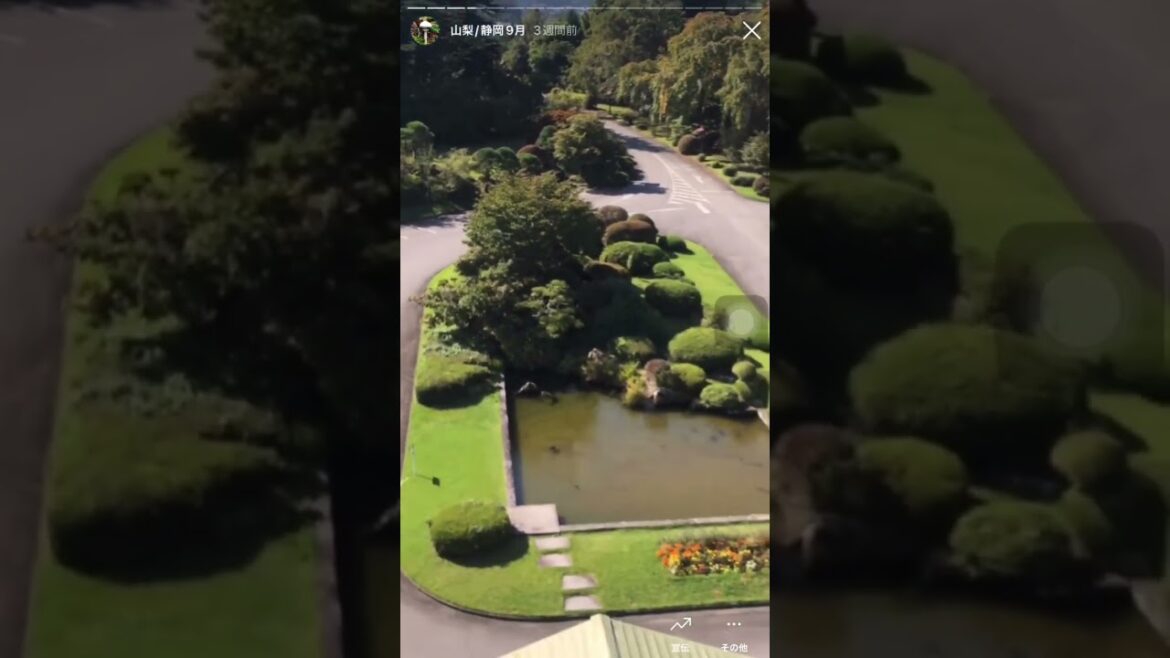 【五感ひとり旅】河口湖畔の富士ビューホテル部屋から真正面に見える富士山！良いホテルでした。また泊まりたいホテル♪