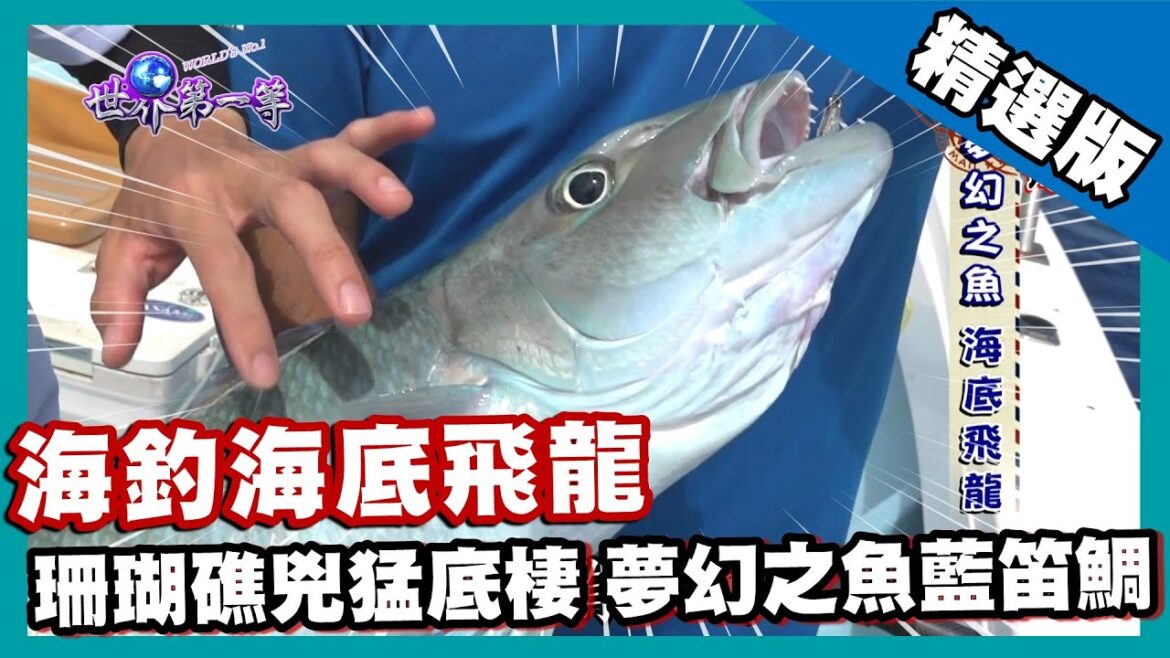 【沖繩】海釣夢幻之魚海底飛龍 珊瑚礁兇猛底棲藍笛鯛(沙地挖當地特有紅貝)|《世界第一等》842集精華版 【沖繩】海釣夢幻之魚海底飛龍 珊瑚礁兇猛底棲藍笛鯛(沙地挖當地特有紅貝)|《世界第一等》842集精華版