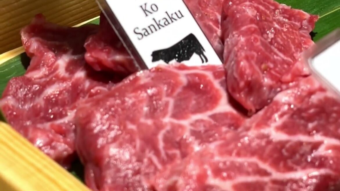 Join us for a full A5 Wagyu Yakiniku experience at Wagasa Yakiniku, Bukit Jalil, KL Join us for a full A5 Wagyu Yakiniku experience at Wagasa Yakiniku, Bukit Jalil, KL