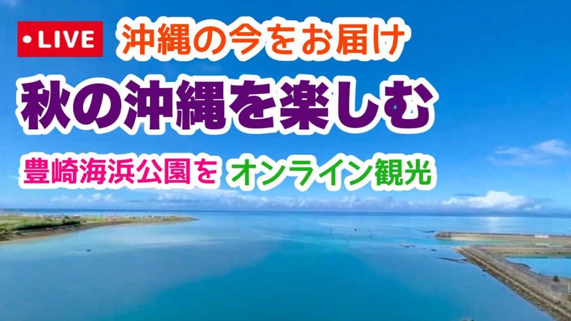 【沖縄の今をお届け】豊崎海浜公園をオンライン観光「沖縄旅行情報」 【沖縄の今をお届け】豊崎海浜公園をオンライン観光「沖縄旅行情報」
