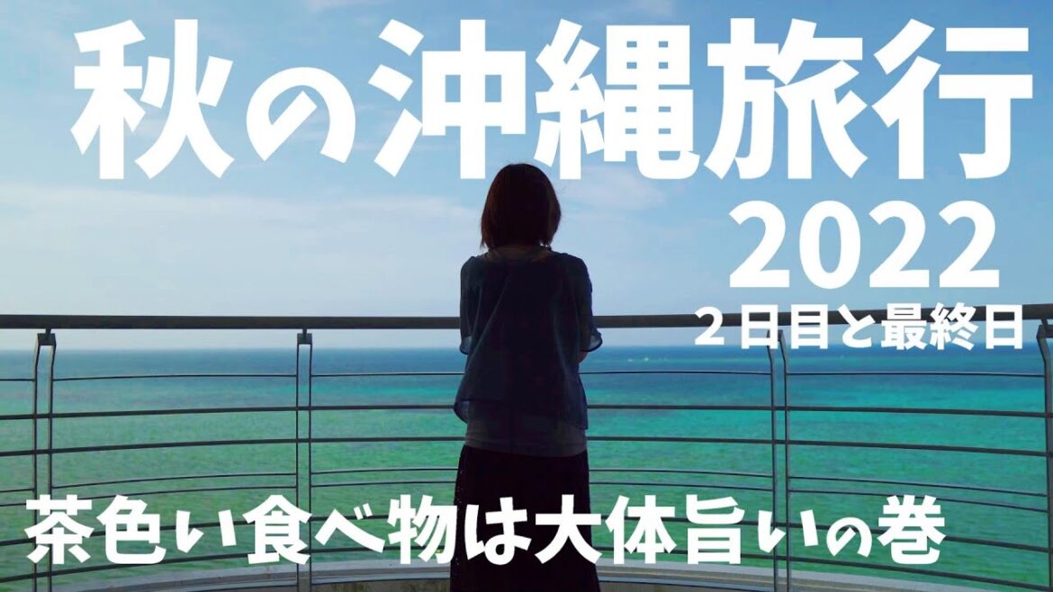 2022 秋の沖縄旅行 2日目&最終日 2泊3日 ベルパライソ VLOG sony a6300 RX100 GoPro HERO7 OKINAWA TRIP DAY2.3 2022 秋の沖縄旅行 2日目&最終日 2泊3日 ベルパライソ VLOG sony a6300 RX100 GoPro HERO7 OKINAWA TRIP DAY2.3