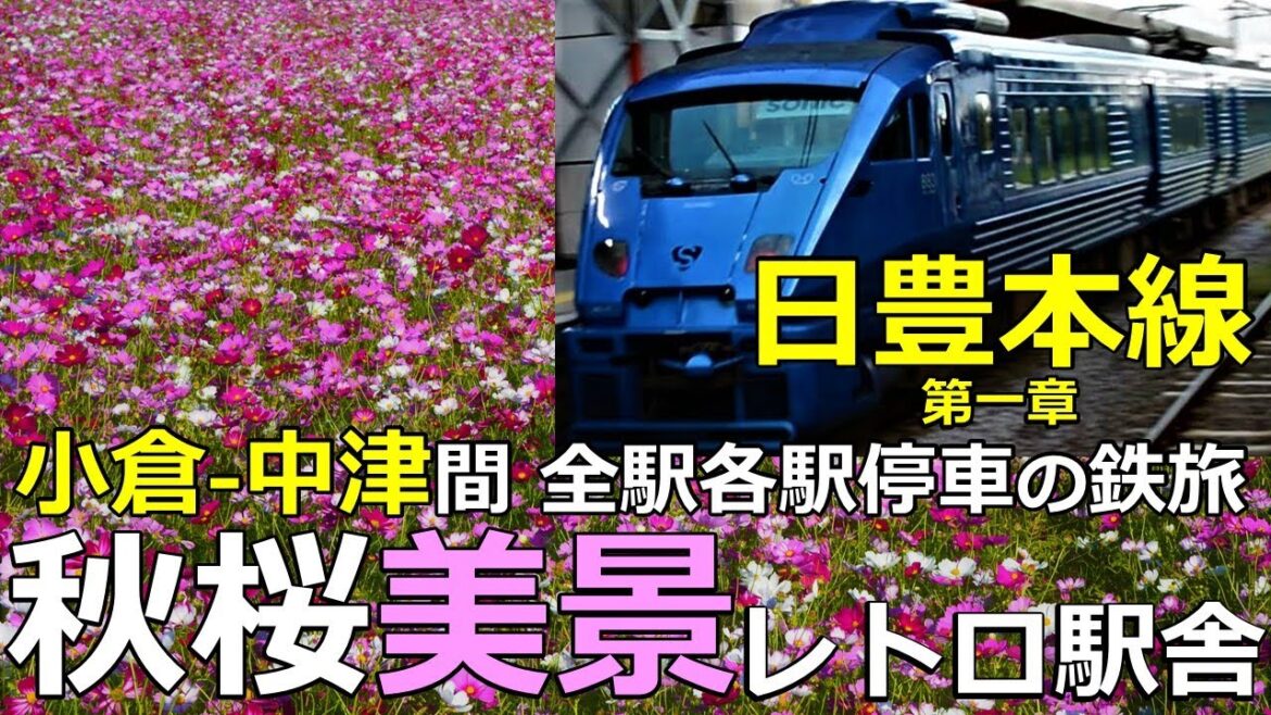 【日豊本線1】美景！秋桜の海とレトロ駅舎 小倉-中津間全駅各駅停車の鉄旅