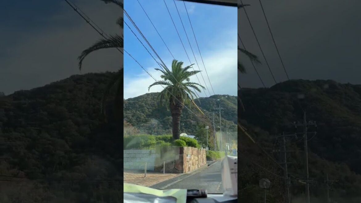 Happy Diwali   #japan #okayama shorts