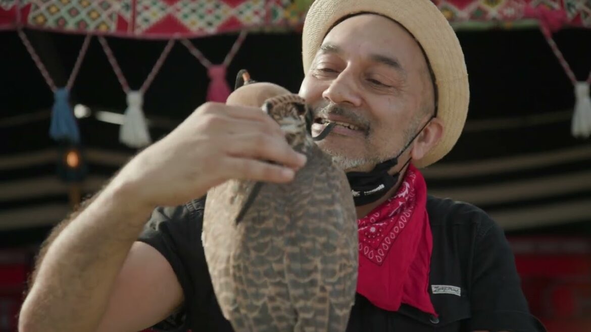 BBC Travel Show - Comp catch up (week 13)