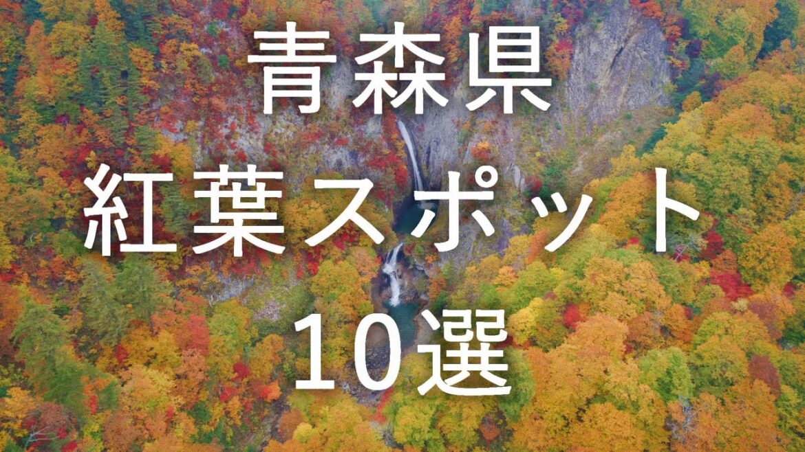 【青森県】紅葉スポット 10選【空撮多数】4K60P 【青森県】紅葉スポット 10選【空撮多数】4K60P