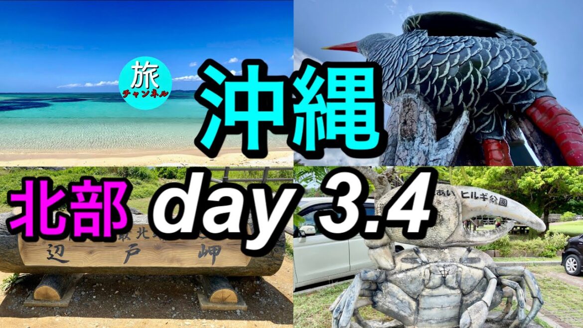 【沖縄旅】４泊５日で沖縄を楽しめるか？　Okinawa solo trip　day3・4