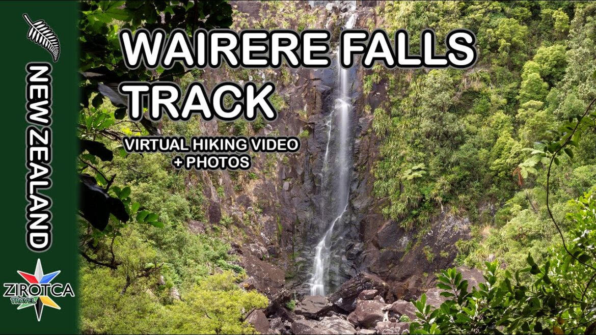 New Zealand - Wairere Falls Track - Virtual Hiking Video of New Zealand | New Zealand Tracks | NZ