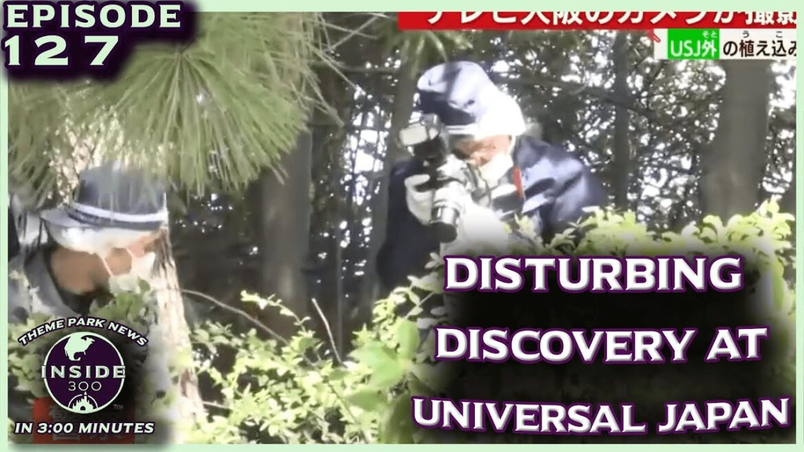 Human Skull, Skeleton Discovered at Universal Studios