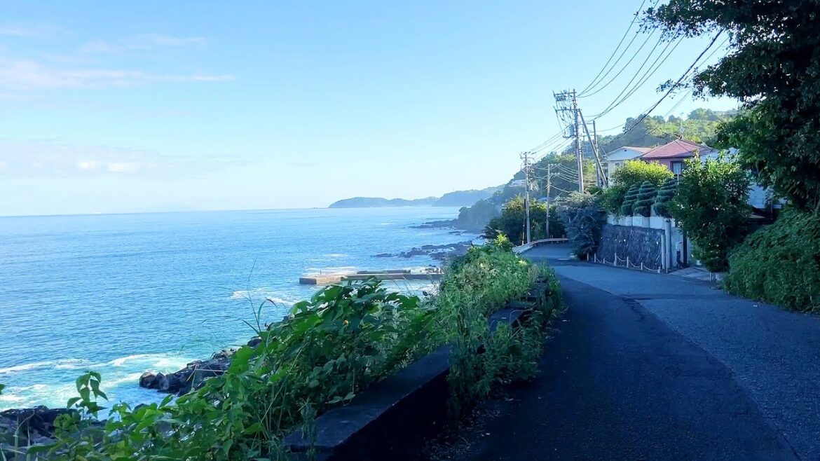 I walked along the sea from Hayakawa Station to Nebukawa Station and found a lot of history. I walked along the sea from Hayakawa Station to Nebukawa Station and found a lot of history.