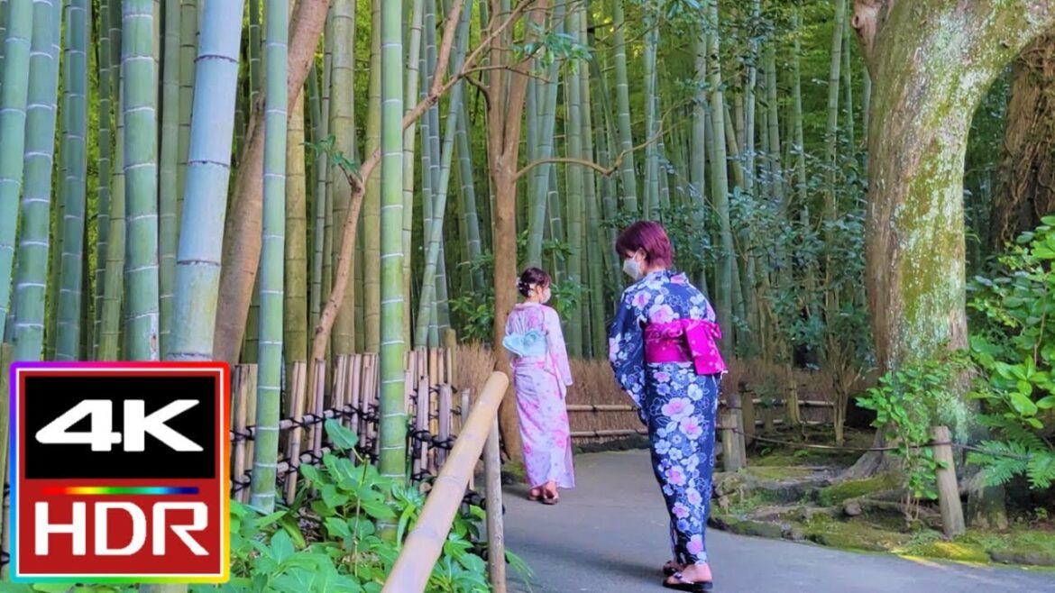Hokokuji Temple & Bamboo Forest Walking Tour [4K HDR] 報国寺