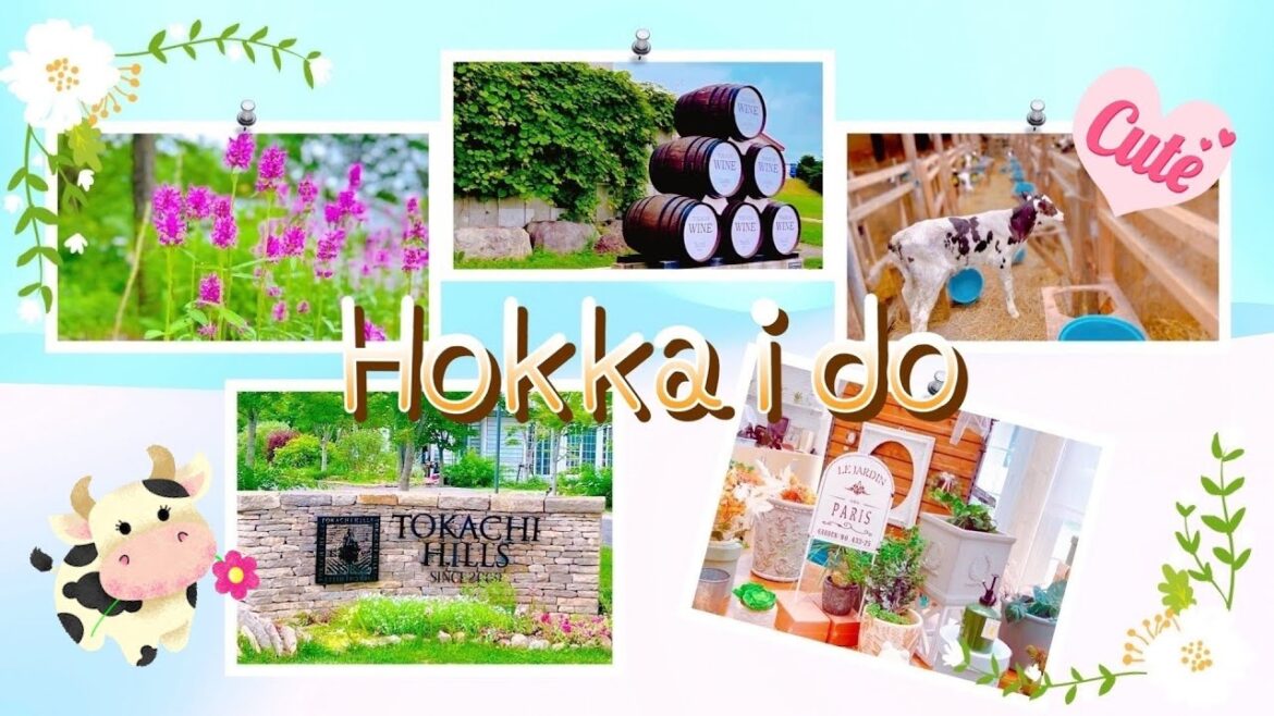 【一時帰国】7年ぶりの日本 (北海道編) | ゆるカワ♡ 酪農王国 北海道十勝 • 帯広であそぶ | Short Trip to Hokkaido, Japan | Visiting Tokachi 【一時帰国】7年ぶりの日本 (北海道編) | ゆるカワ♡ 酪農王国 北海道十勝 • 帯広であそぶ | Short Trip to Hokkaido, Japan | Visiting Tokachi