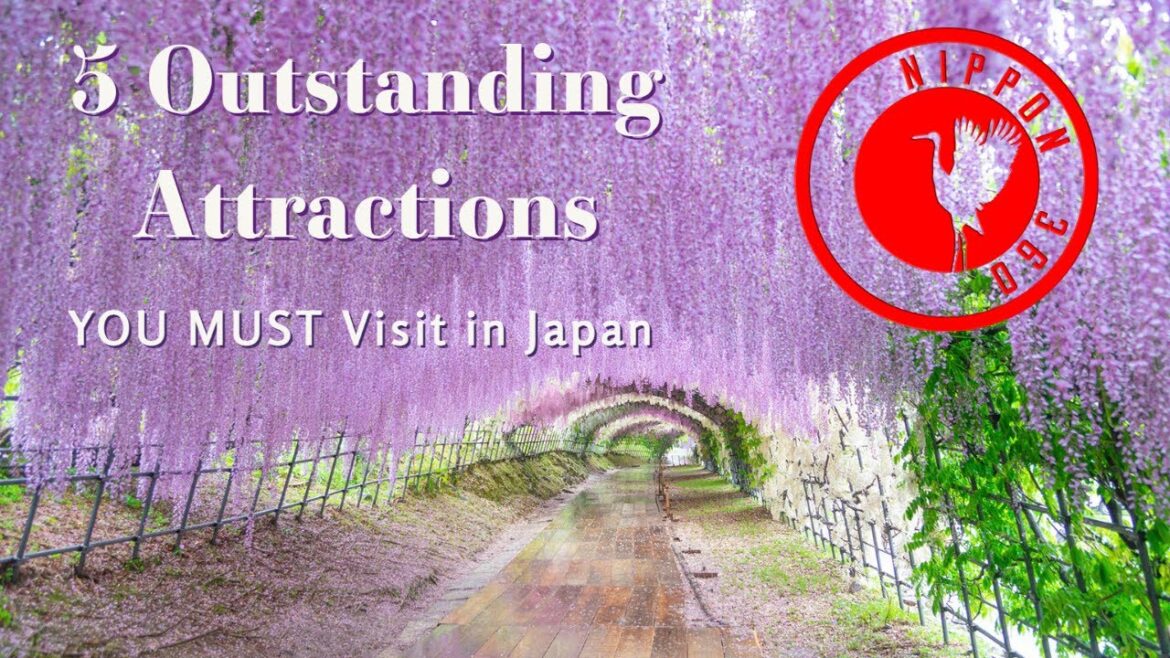 5 outstanding attractions you MUST visit in Japan 5 outstanding attractions you MUST visit in Japan