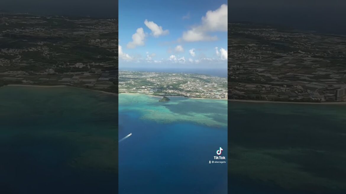 【沖縄旅行】セントレアから那覇空港まで行ってみた #shorts