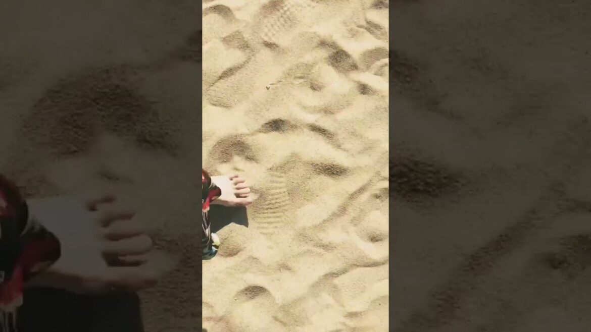 Japanese scenery.海の鳥居。