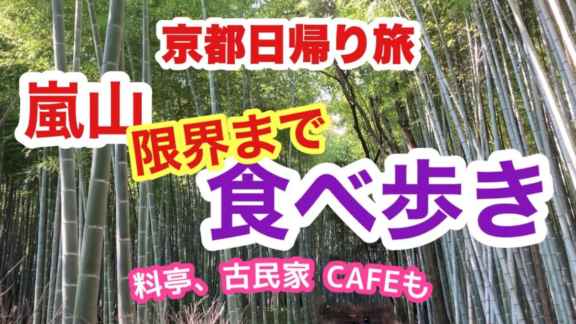 【京都嵐山】人気カフェで朝食/ぜいたく料亭/食べ歩き/大人の遠足Kyoto Trip