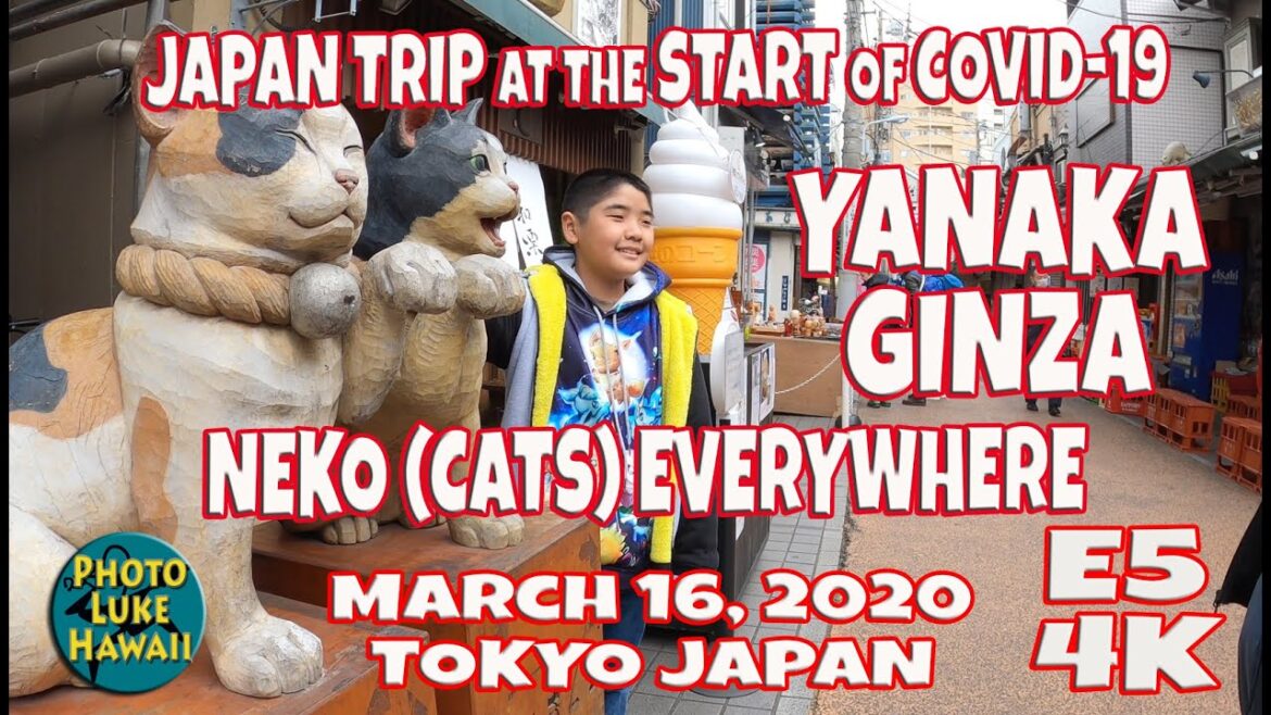 Japan Trip at the Start of Covid 19 Yanaka Ginza E5 March 16, 2020 Tokyo Japan Cat Lovers