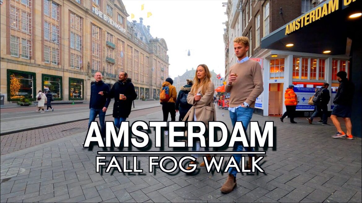 Amsterdam Cold Fall Walk The Netherlands| 5k 60| Amsterdam City Sounds Amsterdam Cold Fall Walk The Netherlands| 5k 60| Amsterdam City Sounds
