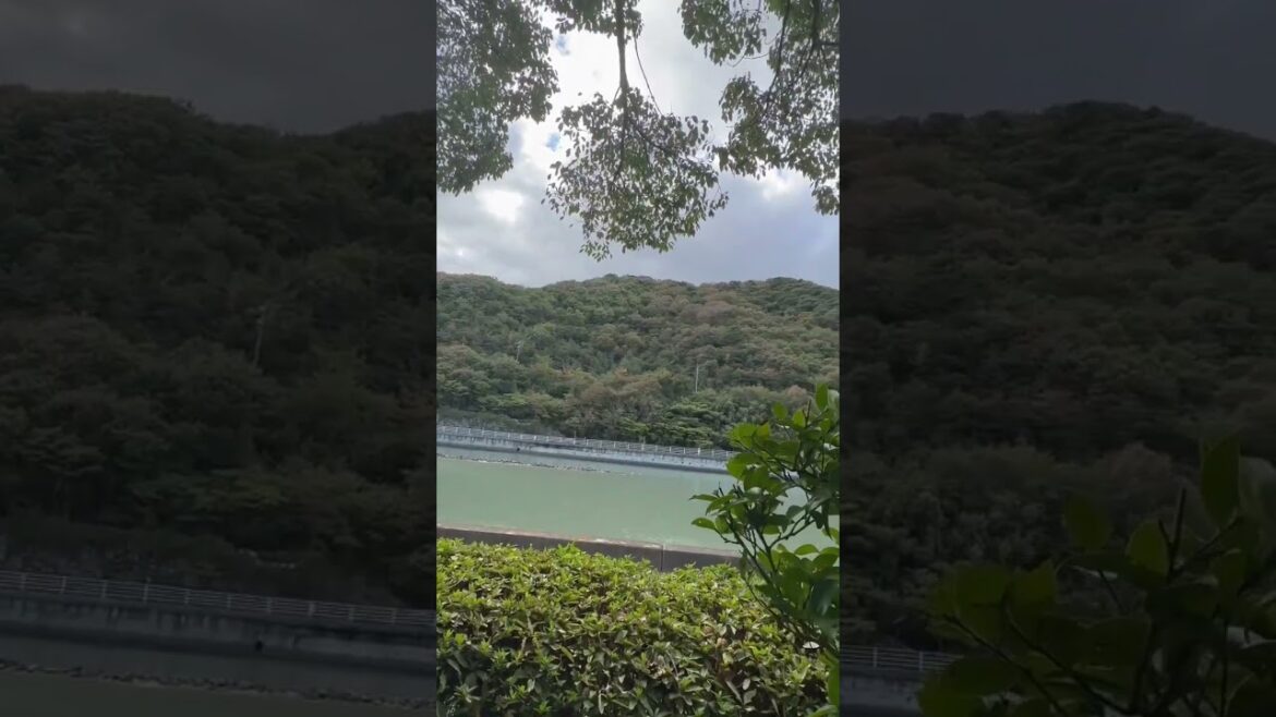 Travel vibes #sea #river