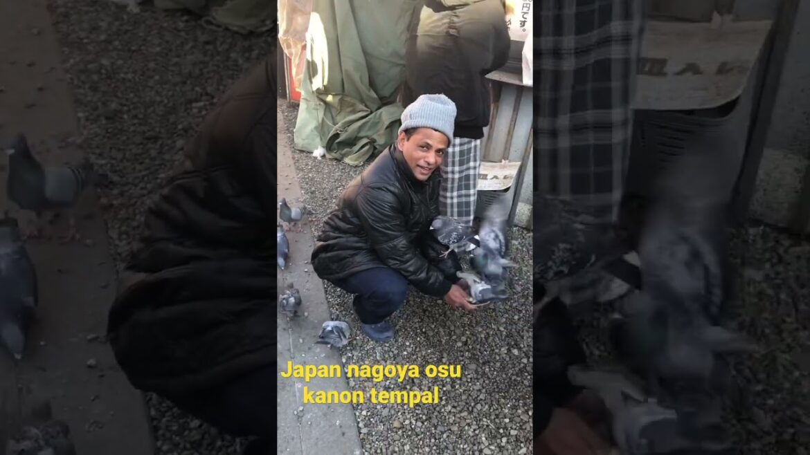 Japan nagoya osu tempal travel shorts# sodurulokyawithAsoka# සිංහල#