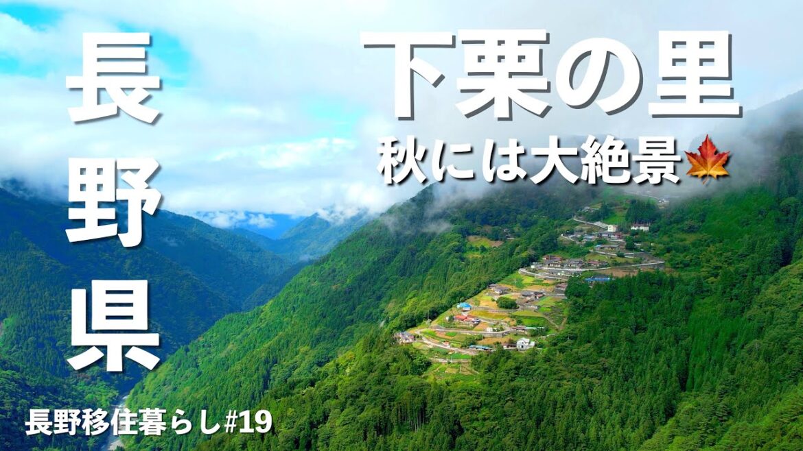 【長野移住】信州1周の旅!!日本のマチュピチュ・下栗の里は絶対に行った方が良い!!｜下栗の里｜いっ福｜天龍村｜遠山郷｜ドライブ｜田舎暮らし｜長野県｜4K